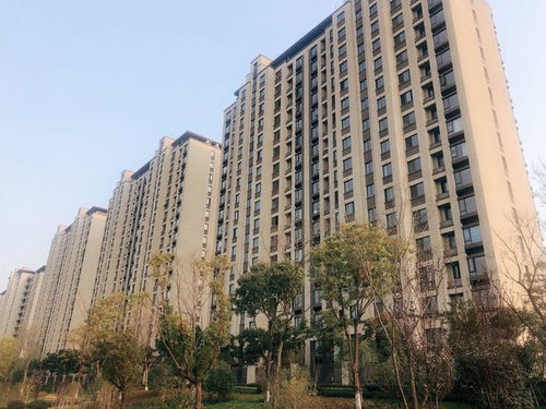 同比增長13.6 ,2021年我市完成房地產開發投資554.85億元
