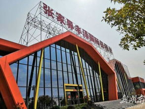 引 進來, 走 出去 把張家界商品推向全世界