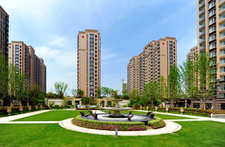 棲霞建設(shè)
