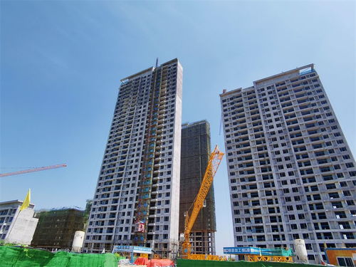 蔡甸區(qū) 擴權賦能 助力房地產開發(fā)企業(yè)少跑腿