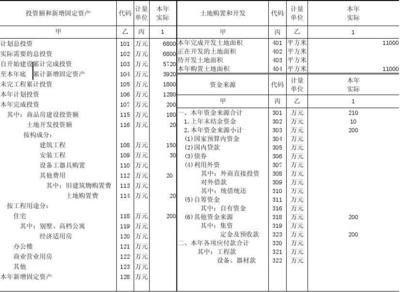 房地產(chǎn)開發(fā)統(tǒng)計(jì)基層標(biāo)準(zhǔn)表-2