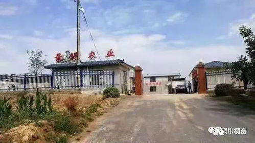 人文銅川,品味東塬丨侯耀寧