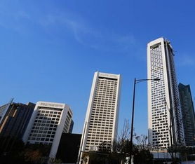 巴中市 關于進一步促進房地產市場健康發展的九條措施 實施細則